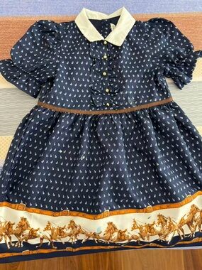 Janie and Jack Silk Dress